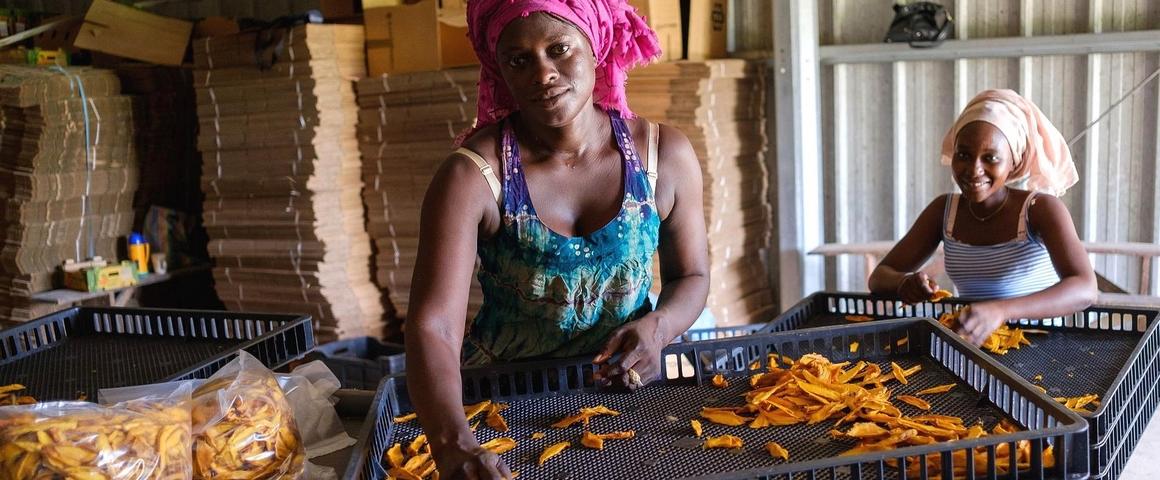 Transformatrices dans une PME de production de mangues séchées au Burkina Faso © A. Chapuis, Cirad